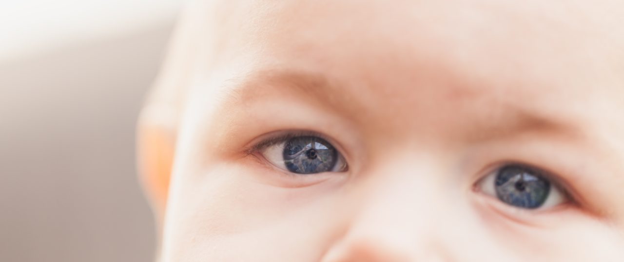 brandon-day-b8p8nqFshyY-unsplash-1280x537.jpg