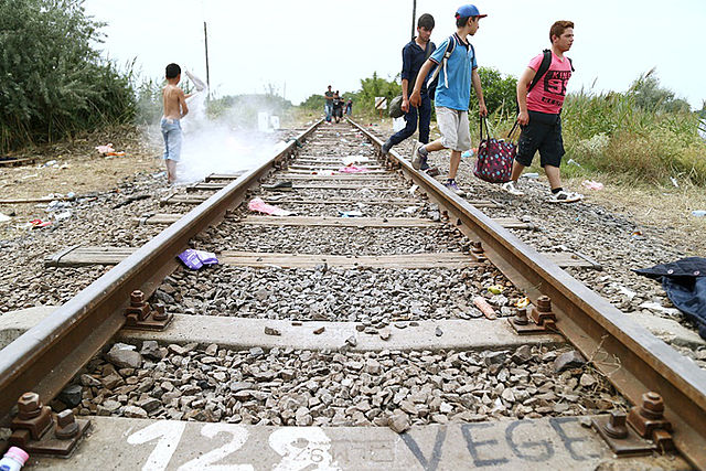 Migrants_in_Hungary_2015_Aug_011.jpg