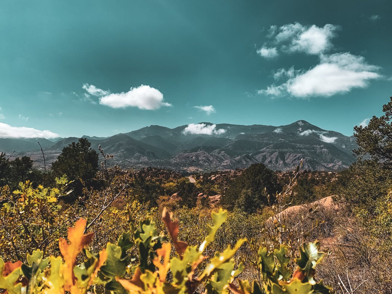 devonshire-We_EFsiDuTs-unsplash-1280x960.jpg