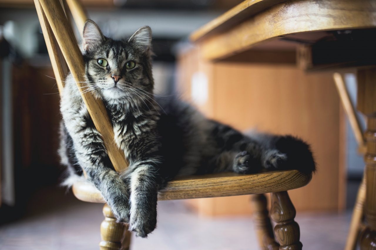 kari-shea-eMzblc6JmXM-unsplash-1280x853.jpg