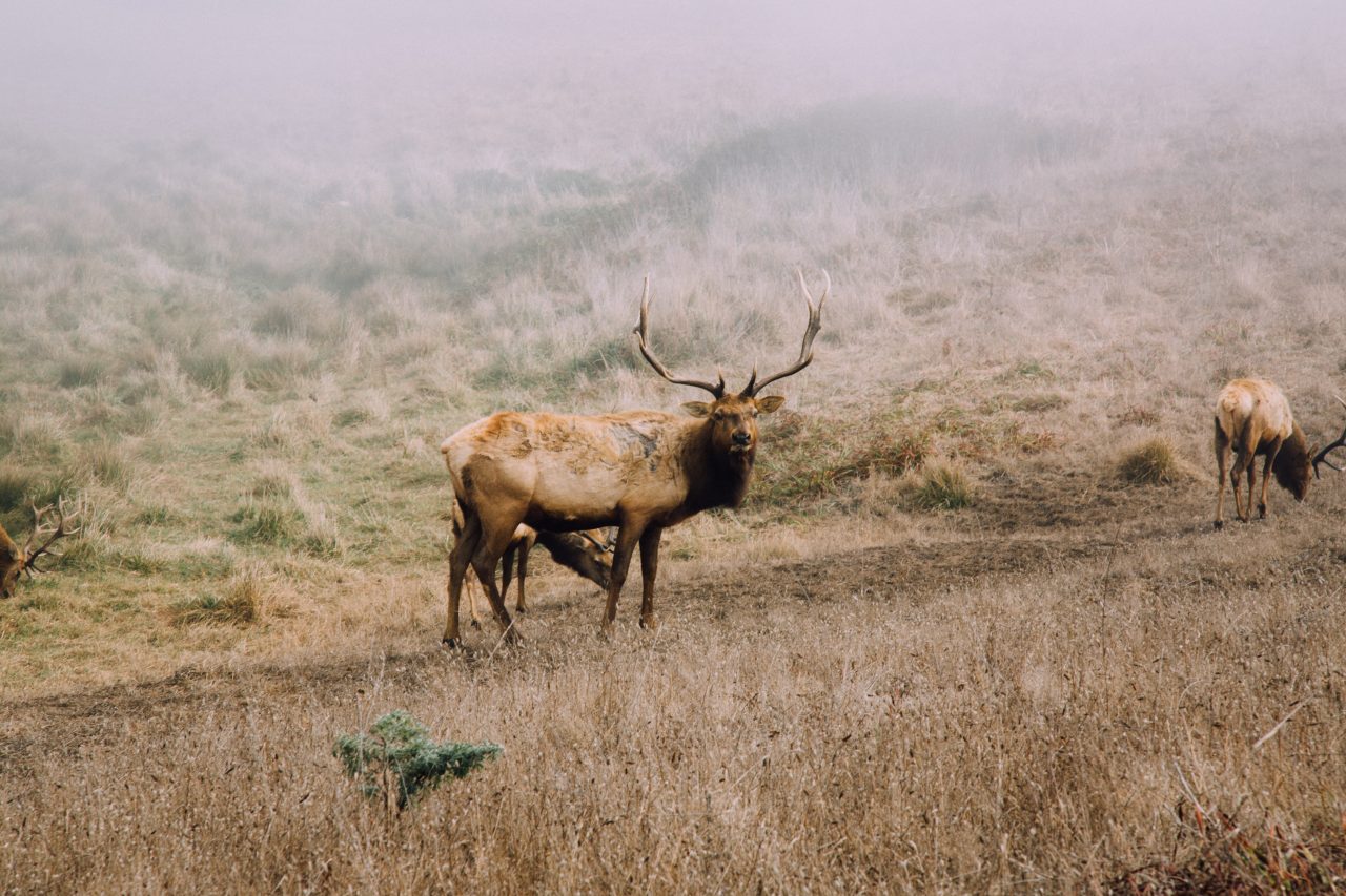 kyle-glenn-XO8BYFcapzY-unsplash-1280x853.jpg