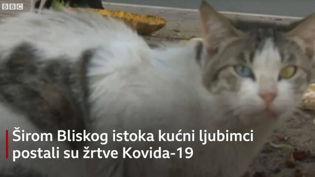 ljubimci.jpg