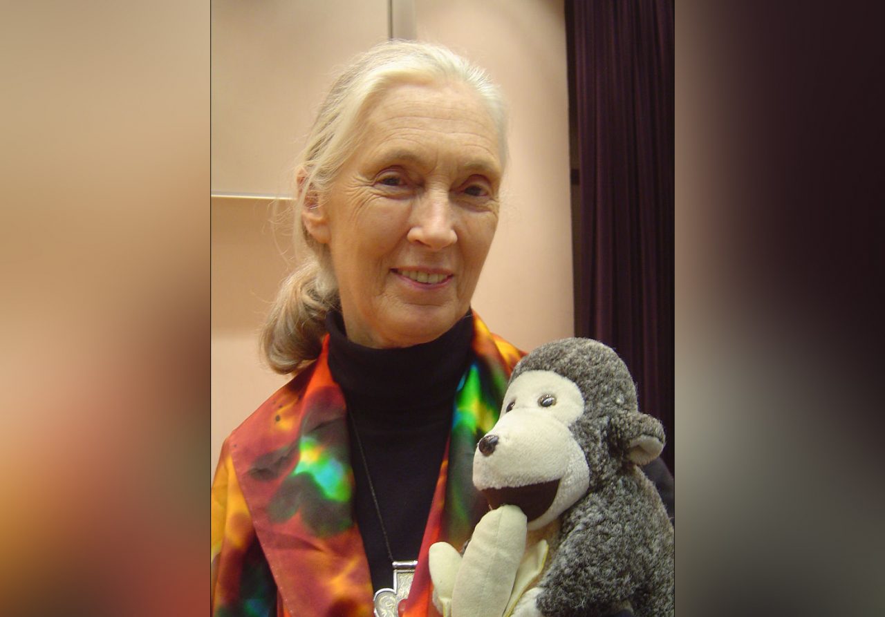768px-Jane_Goodall_HK-1280x893.jpg