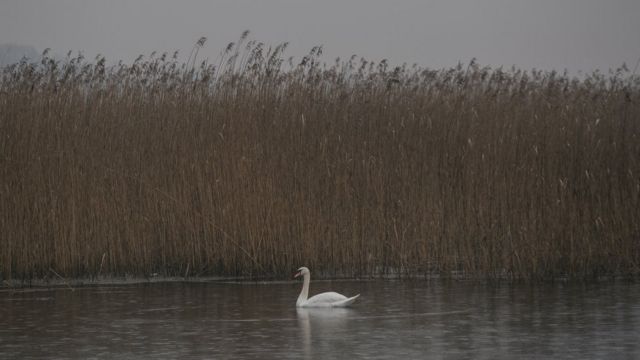 116769096_9c1ab83a-0e09-47d7-8f71-02ab49854142-2.jpg