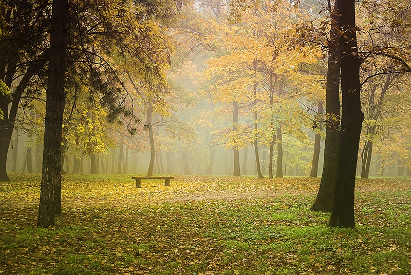 Jesen_u_Košutnjaku_Autumn_in_Košutnjak