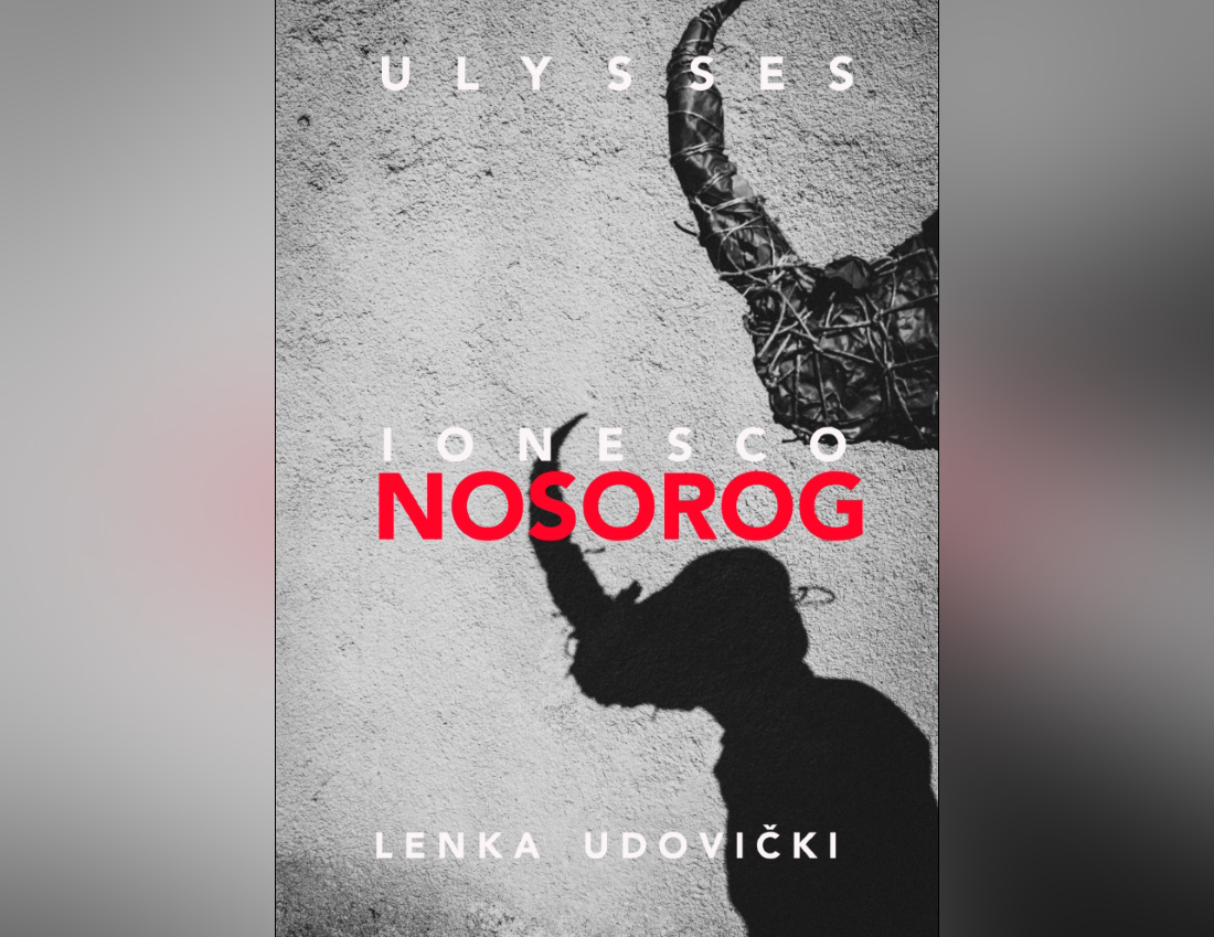 nosorog-vizual.jpg