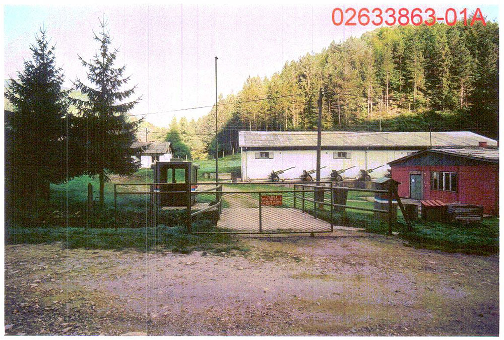 susica-03.jpg
