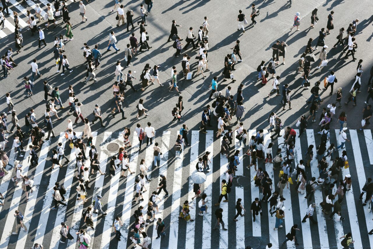 ryoji-iwata-IBaVuZsJJTo-unsplash (7)