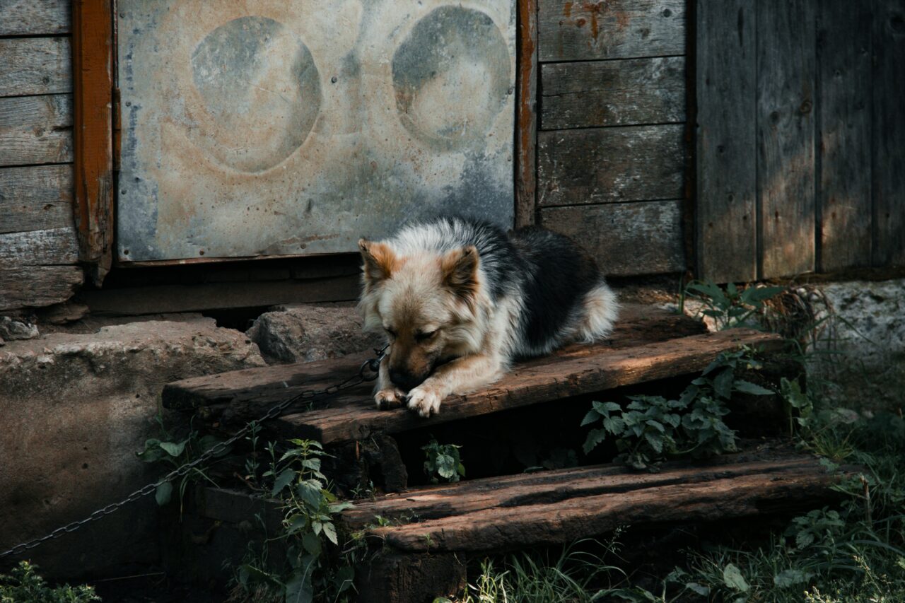 evgeniy-prokofiev-Pnxf1WhkNqQ-unsplash