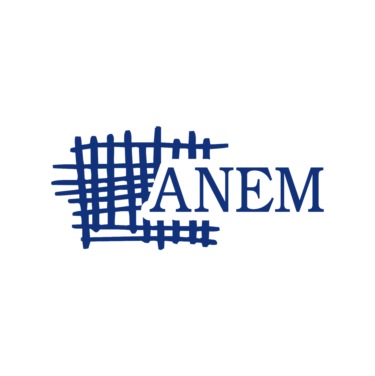 Anem-logo-10