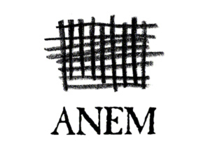 anem-logo-1-300x225.jpg