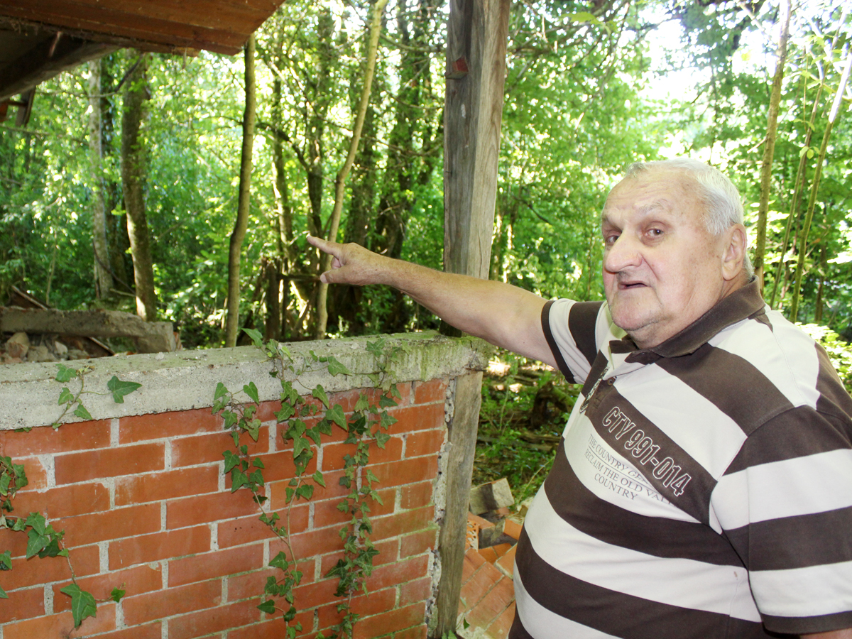 stojan-jelic-1