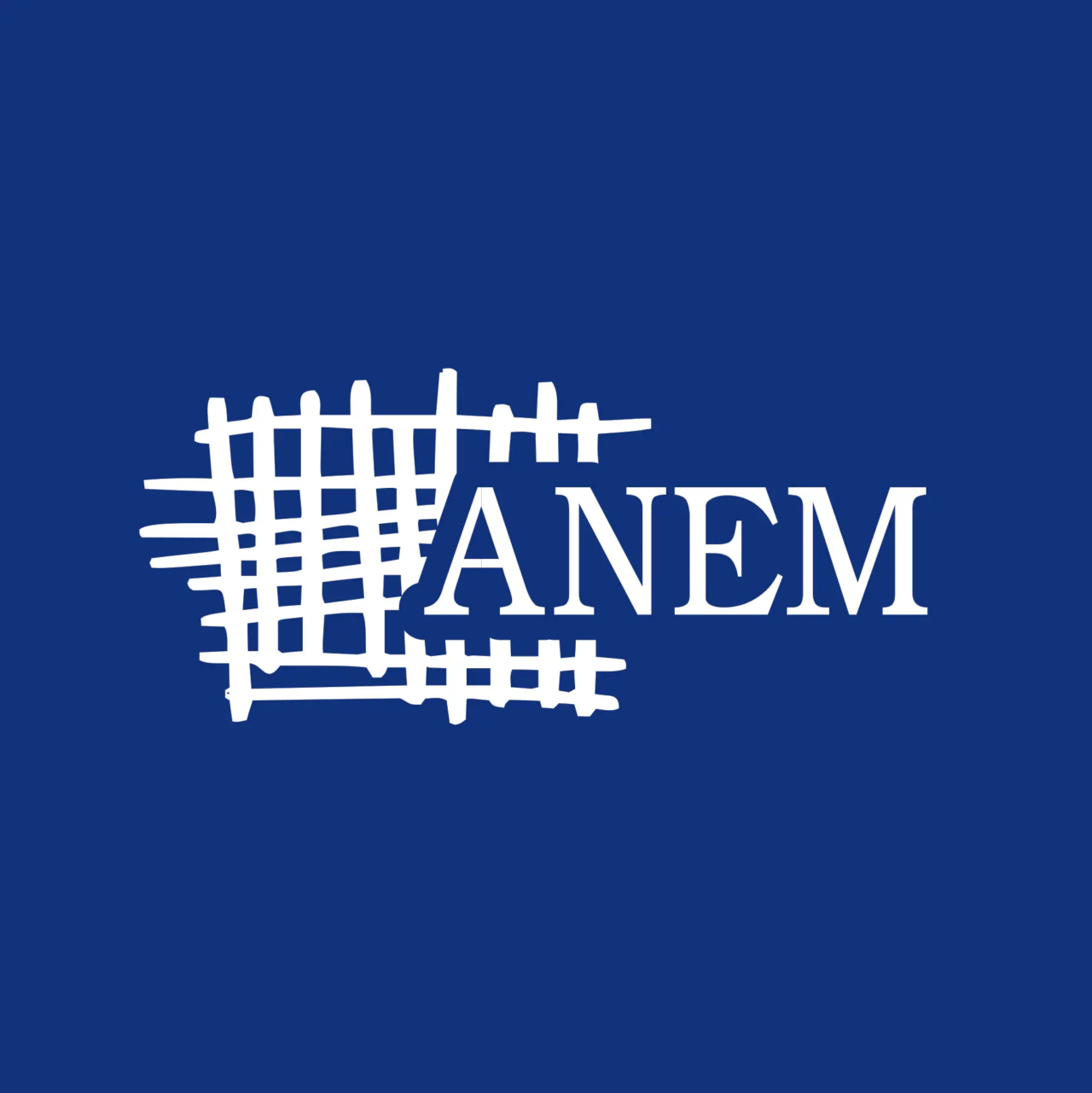 Anem-logo-12 (1)