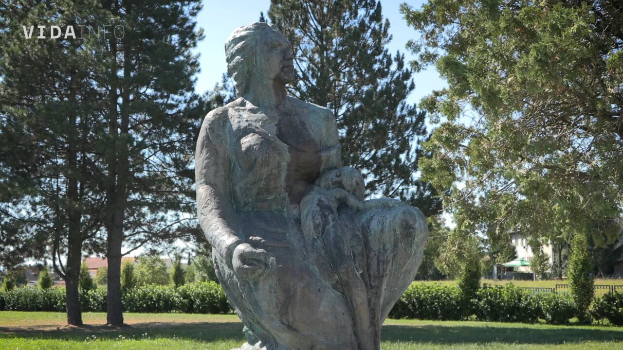 VIDA-14-1280x720.jpg
