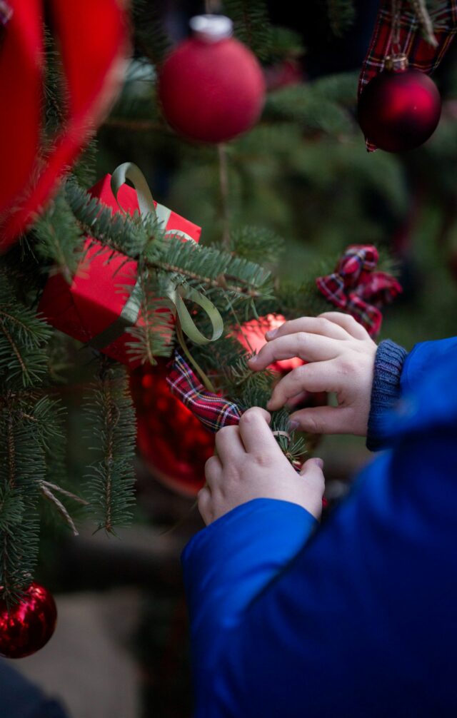 Ukrašavanje Stabla zajedništva