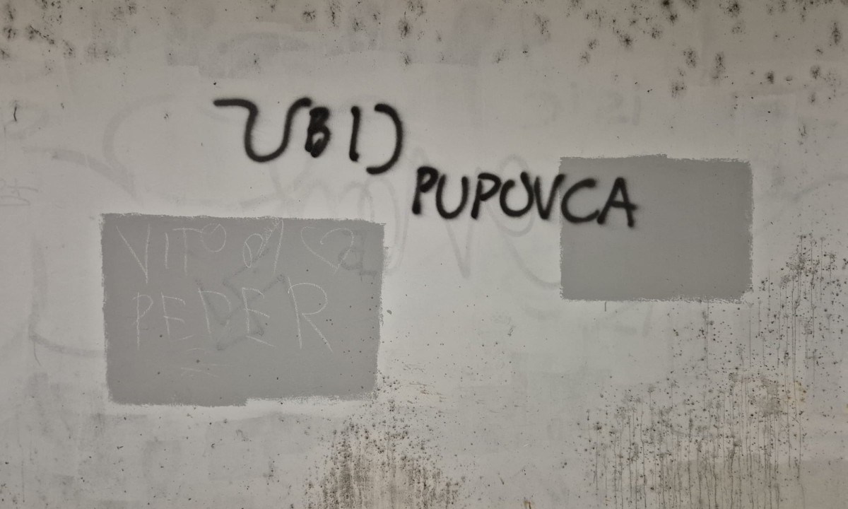 graf1_pupovac (1)